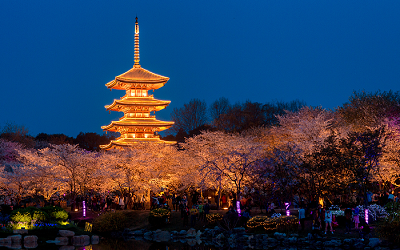 薛剛 | 中國傳統建筑之幻化——老樹新花